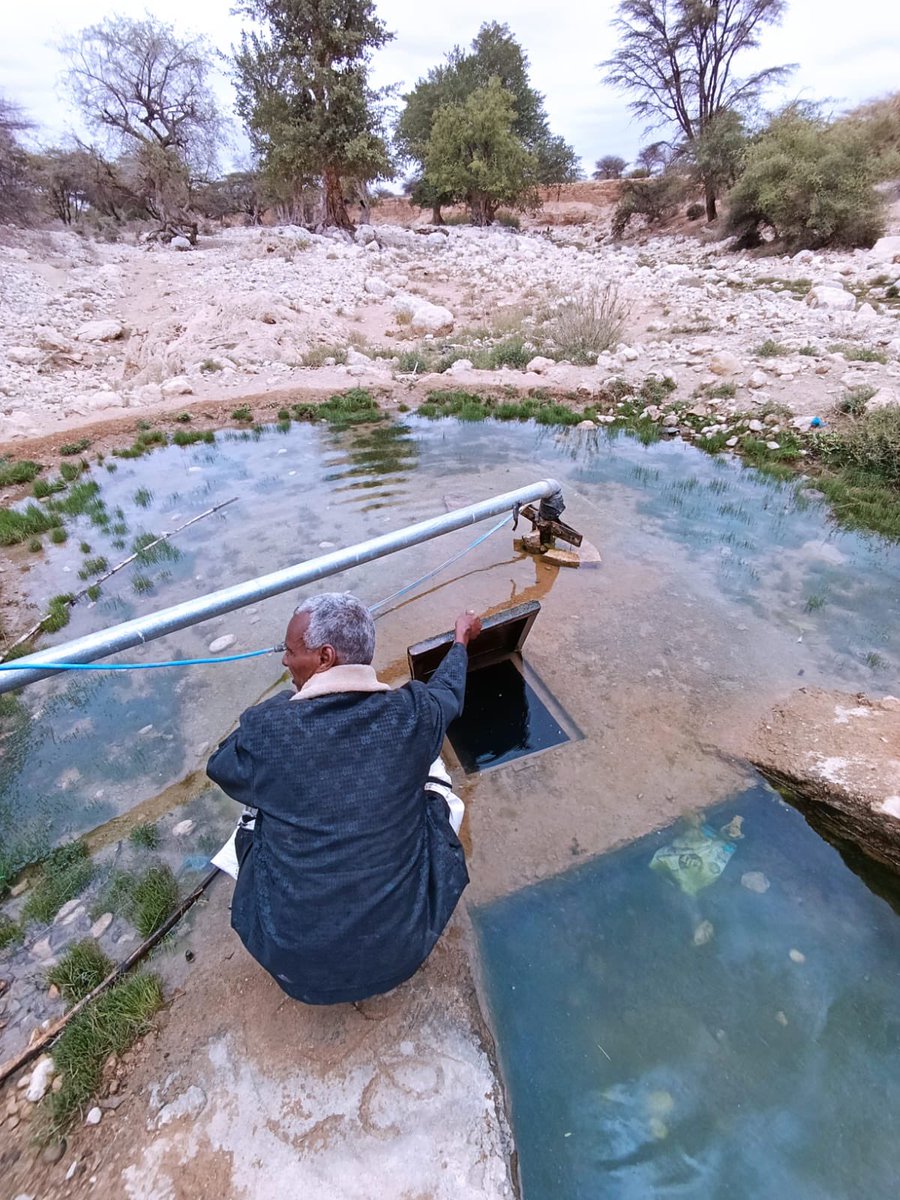 Mathias Kjaer tweet media