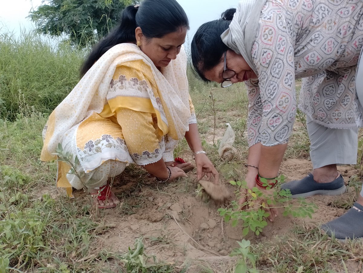 meets_rooh's tweet photo. 🌿🌿
#GoGreen
#RamRahim
#GiftToMSG
#MSGBhandara
#HappyBirthdayMSG https://t.co/eM4NEagpqa