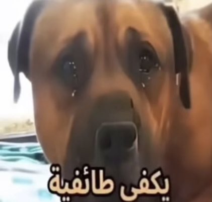فـيـصـل (@f_a_z2) on Twitter photo 