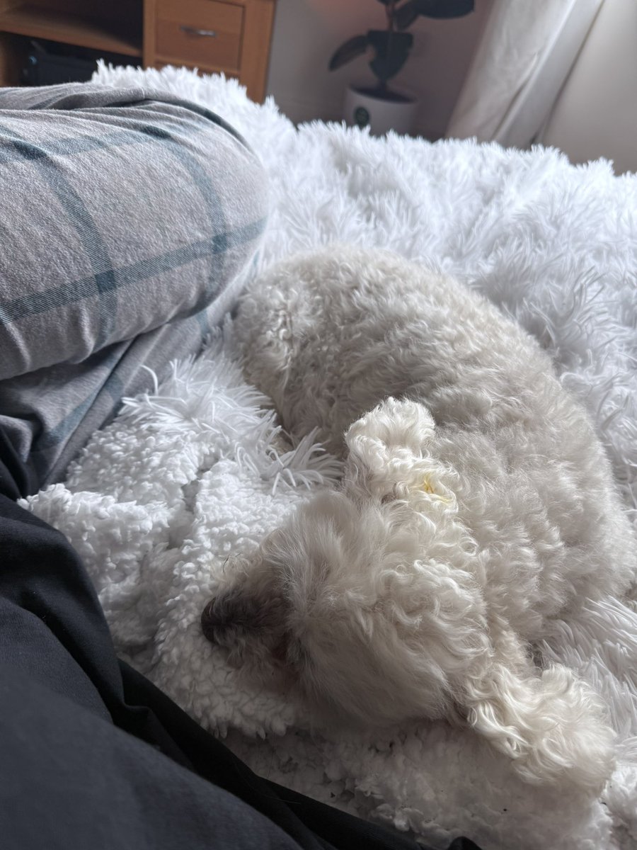 Rage | Tech & RPG tweet media