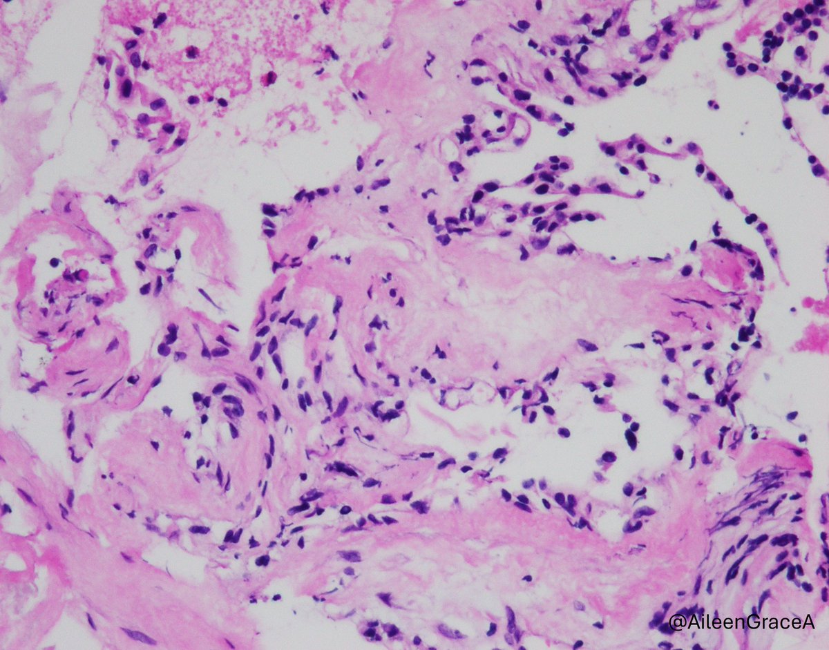 CooperPathology tweet media