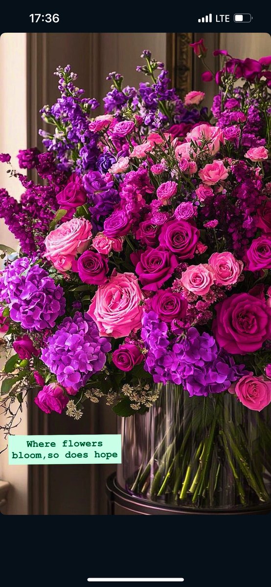 merve_otls's tweet photo. 💐 https://t.co/ohfHq3sXfO