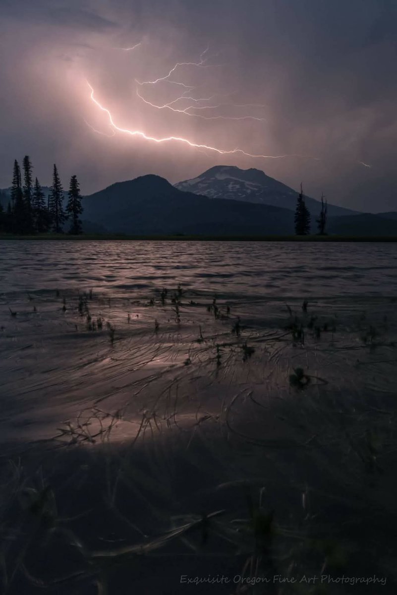Jeff Bryant 🇺🇸 Oregon Photographer tweet media