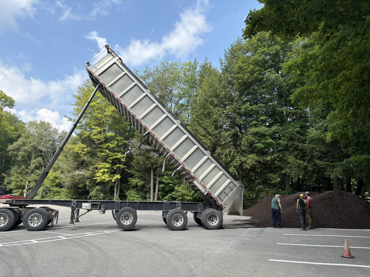 Absolutely beautiful sight to see! Greens mix has arrived