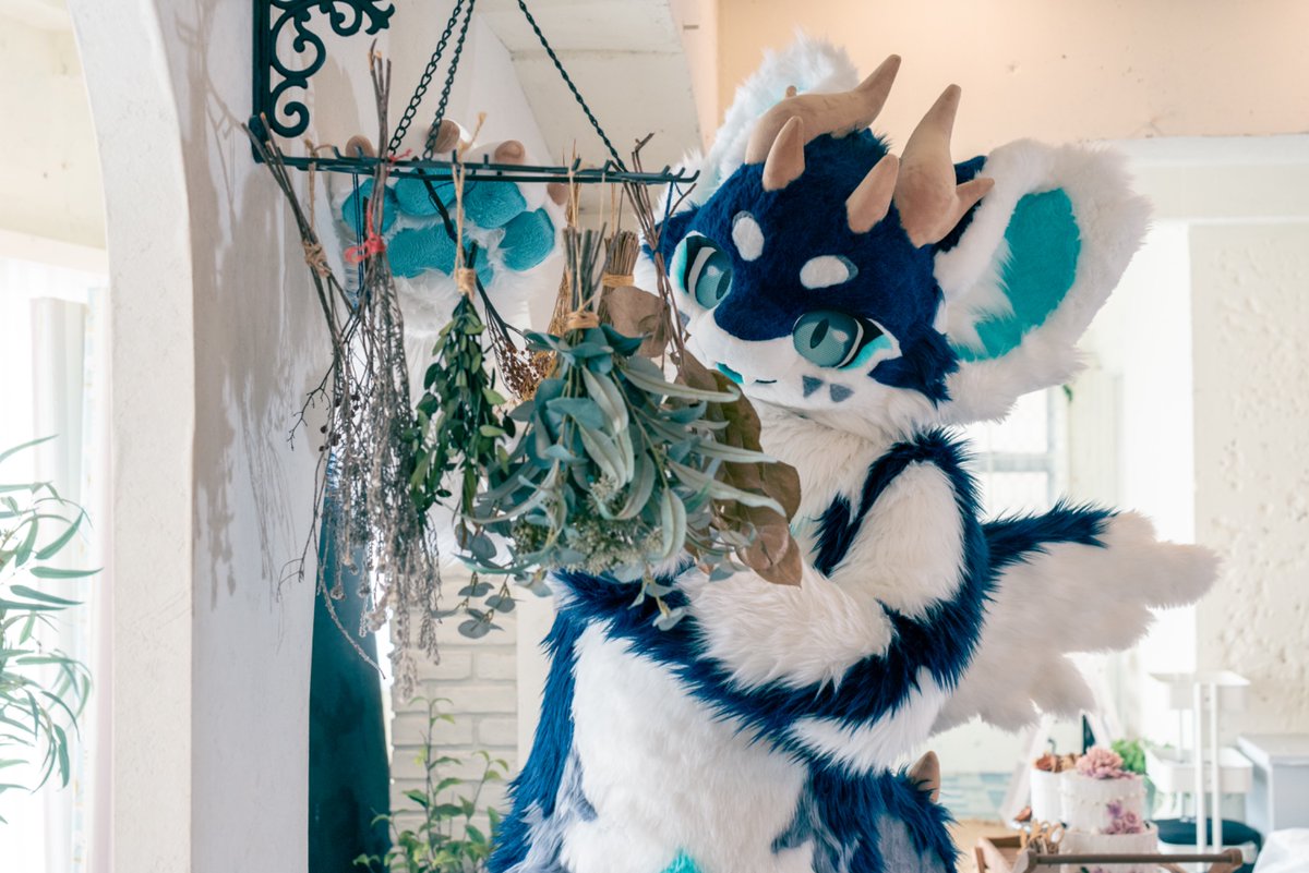 상태가 많이 좋아졌네. 슬슬 가게에 진열할 수 있을까~
#FursuitFriday