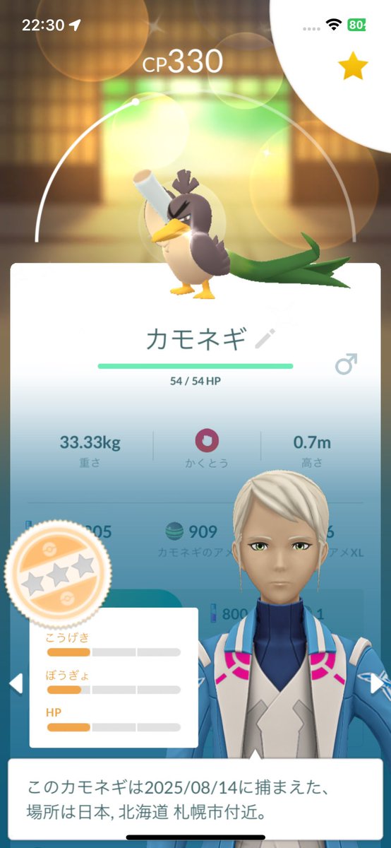 今日の色違いはGOプラ師匠の捕まえてくれたガラルカモネギ✨
数日前に初めましてで光ってくれて子がまた来てくれました😆
なんか今まで全く光ってくれなかった子が１回光ると立て続けに光る現象よくある気がするのですが、
みなさんどうでしょうか⁇😂
