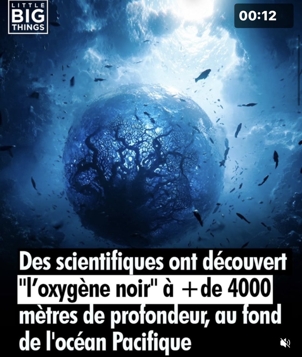 Des scientifiques ont découvert, à plus de 4000 mètres de profondeur dans l’océan Pacifique, une nouvelle manière dont de l’oxygène peut se former sans lumière ni plantes.

Cette forme d’oxygène serait  produite par des nodules polymétalliques
L'article : nature.com/articles/s4156…