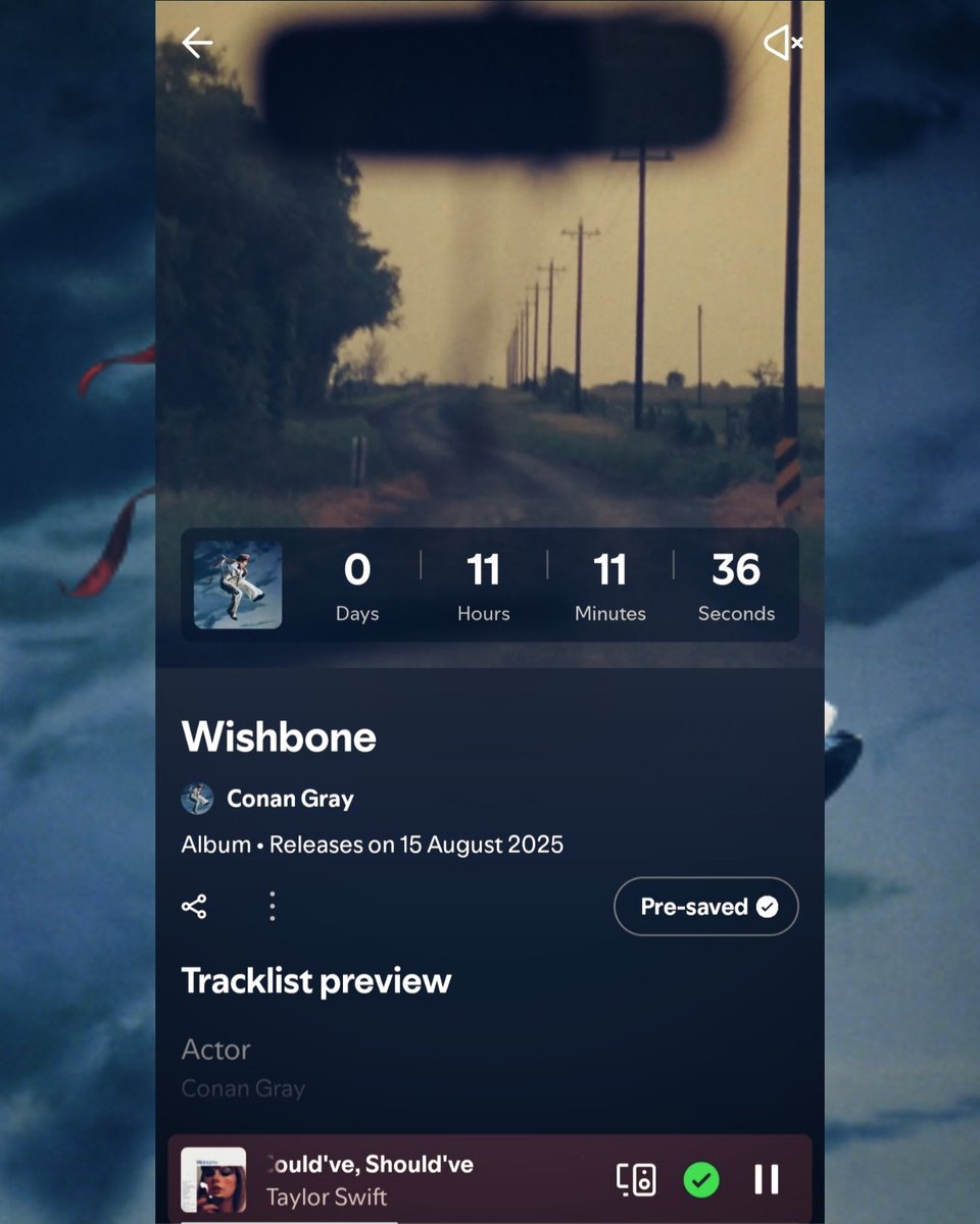 Will Swifties support Taydaughter Conan Gray's new album 'Wishbone'? Out tonight!!