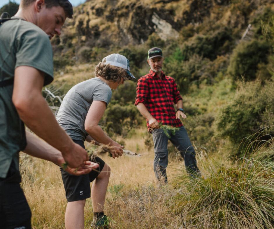 Skyline Swansea will deliver net-positive environmental impact 🌿

Our plans mean we are committed to improving the biodiversity at our Kilvey Hill site, protecting wildlife and planting native trees 💚

📸 Skyline Queenstown

#skylineswansea #skyline #swansea #swanseabay