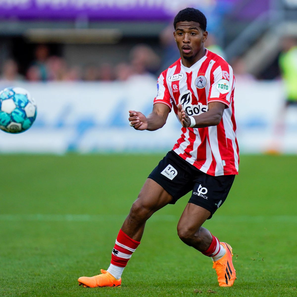 SpartaNieuws tweet media