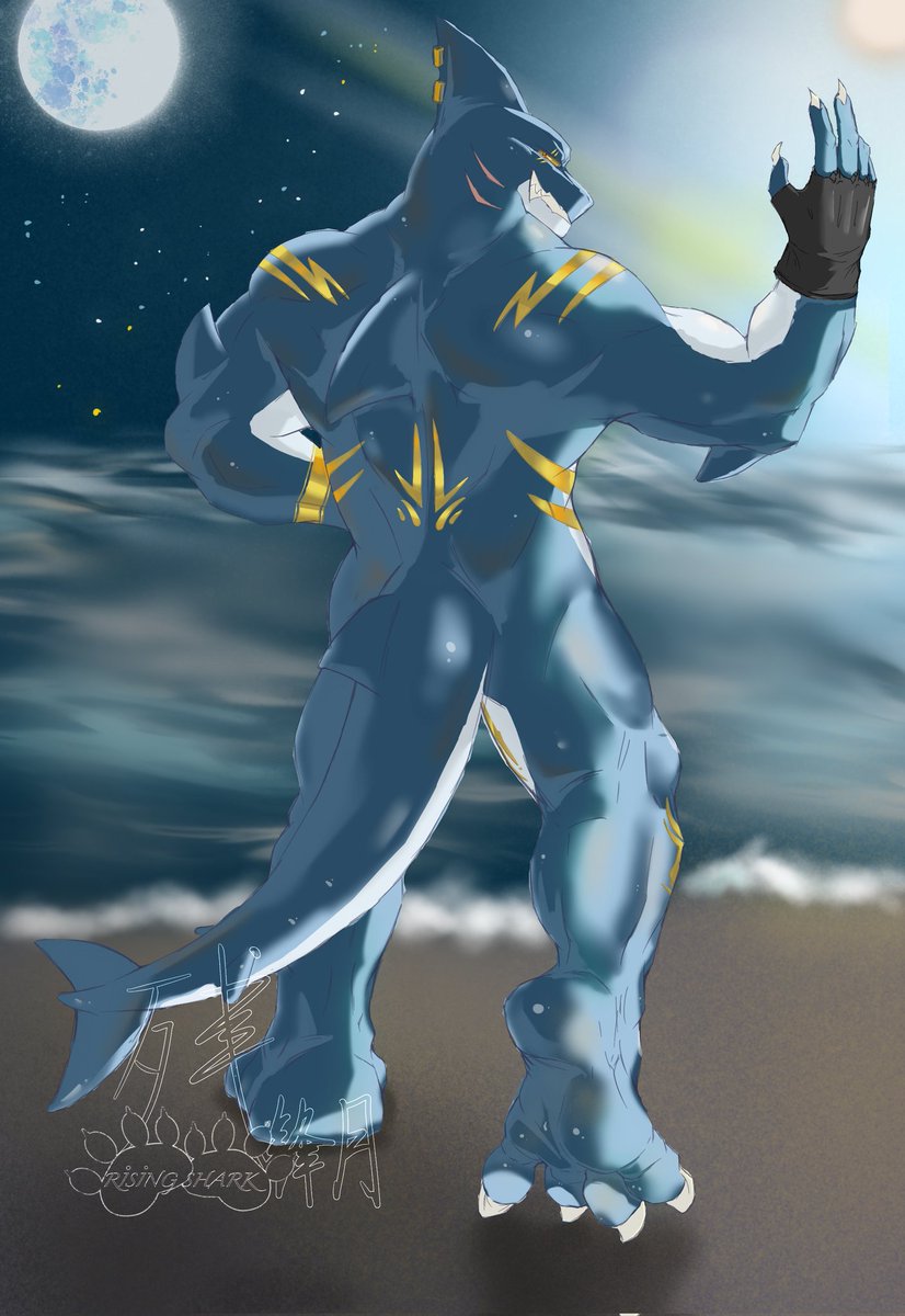 夜深人静的时候，大鲨鱼也该告别了，美好的旅程就此画上句号，期待下一次继续来逮本鲨哦