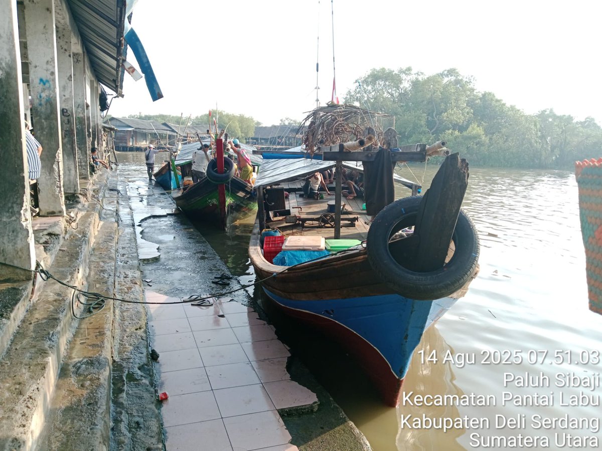 ELuhkan's tweet photo. Kamis (14/08/2025), Eko Santoso-Luhkan DeliSerdang, KUB Bagan Indah, TPI Pantai Labu#produksi tangkap ;  Kembung 36kg, Cincaro 23kg; Gulama 8kg; harga lelang,#GiatLuhkanSatmingkalMedan#LuhLapor
#KabDeliSerdang
@bppsdm_bp3Medan
@pusluhkp
@bppsdm_kp https://t.co/3i6v8zzLDF