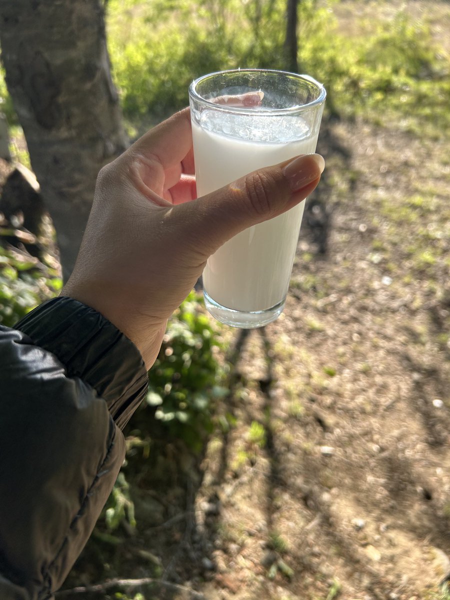 DekioyleSimone's tweet image. Biliyorum ki bu karanlık sonsuza kadar sürmeyecek.
Bu topraklar çok fırtına gördü, çok yıkım yaşadı.. ama her defasında yeniden filiz verdi.
Belki bugün güçsüz hissediyoruz ama yarın, mutlaka yeniden güçleneceğiz.
O gün gelene kadar, birbirimize tutunmaya ve umudu saklamaya devam