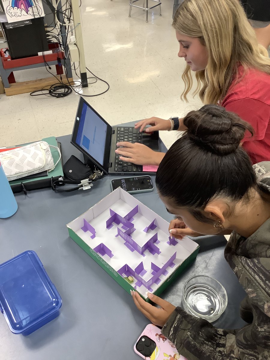 Mr. Hilbert tweet media