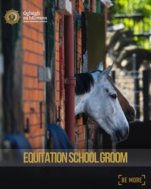 Paul Nolan (@nolan_paul) on Twitter photo 'Army Equitation School – Groom (General Service)
Applications Now Open.' - From <a href="/defenceforces/">Óglaigh na hÉireann</a>
Apply now - military.ie/en/careers/cur…
#equestrian <a href="/ArmyEquitation/">Army Equitation</a> #horses #Ireland ☘️🐴☘️ 'Army Equitation School – Groom (General Service)
Applications Now Open.' - From <a href="/defenceforces/">Óglaigh na hÉireann</a>
Apply now - military.ie/en/careers/cur…
#equestrian <a href="/ArmyEquitation/">Army Equitation</a> #horses #Ireland ☘️🐴☘️