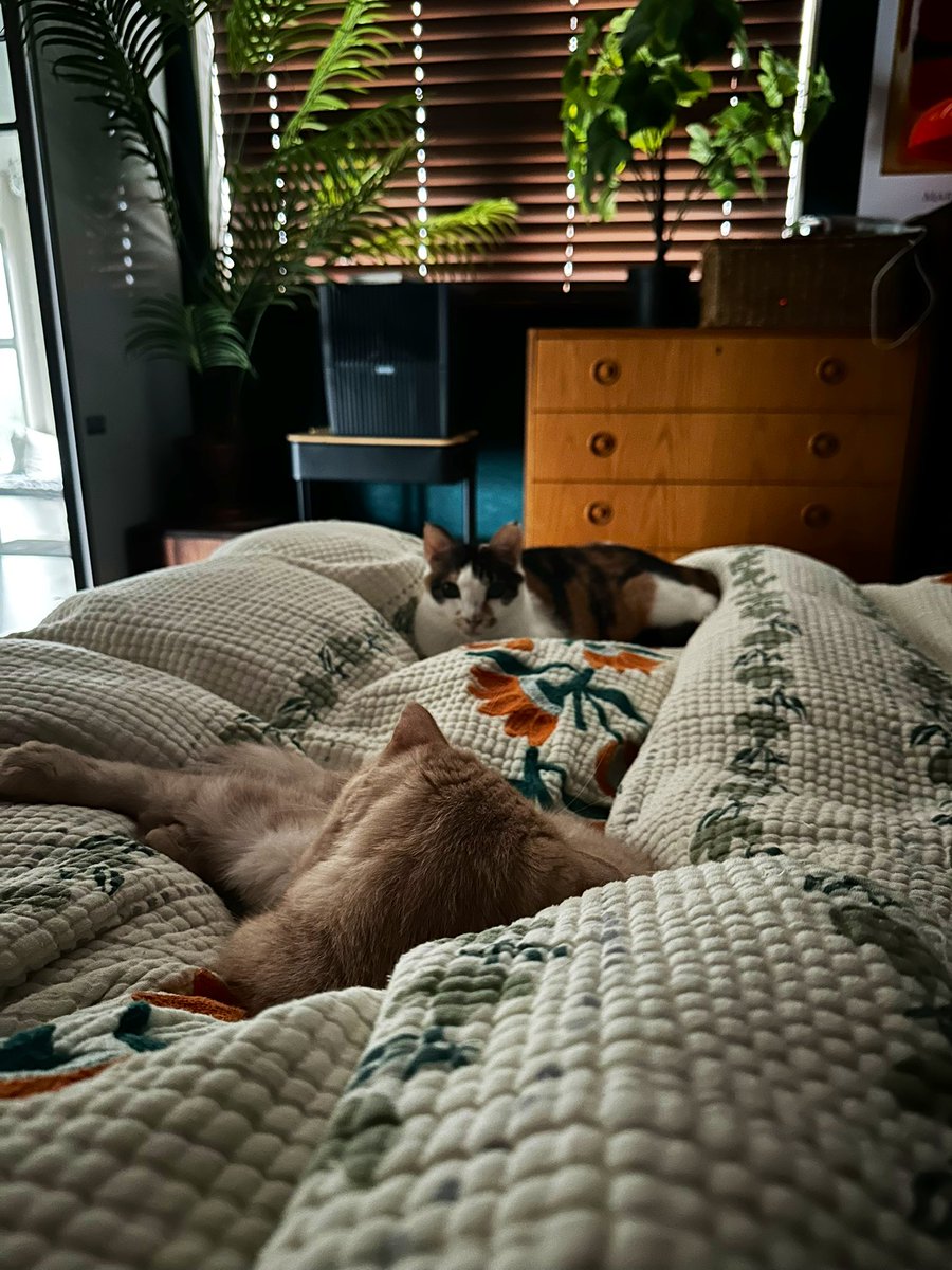 아침에 일어나기 힘든 이유.