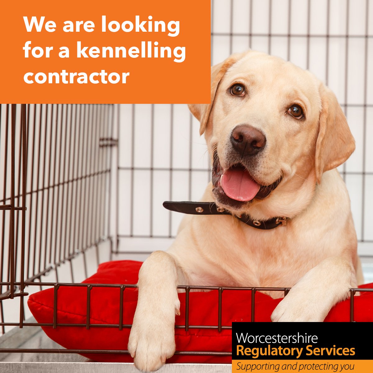 Redditch Council tweet media