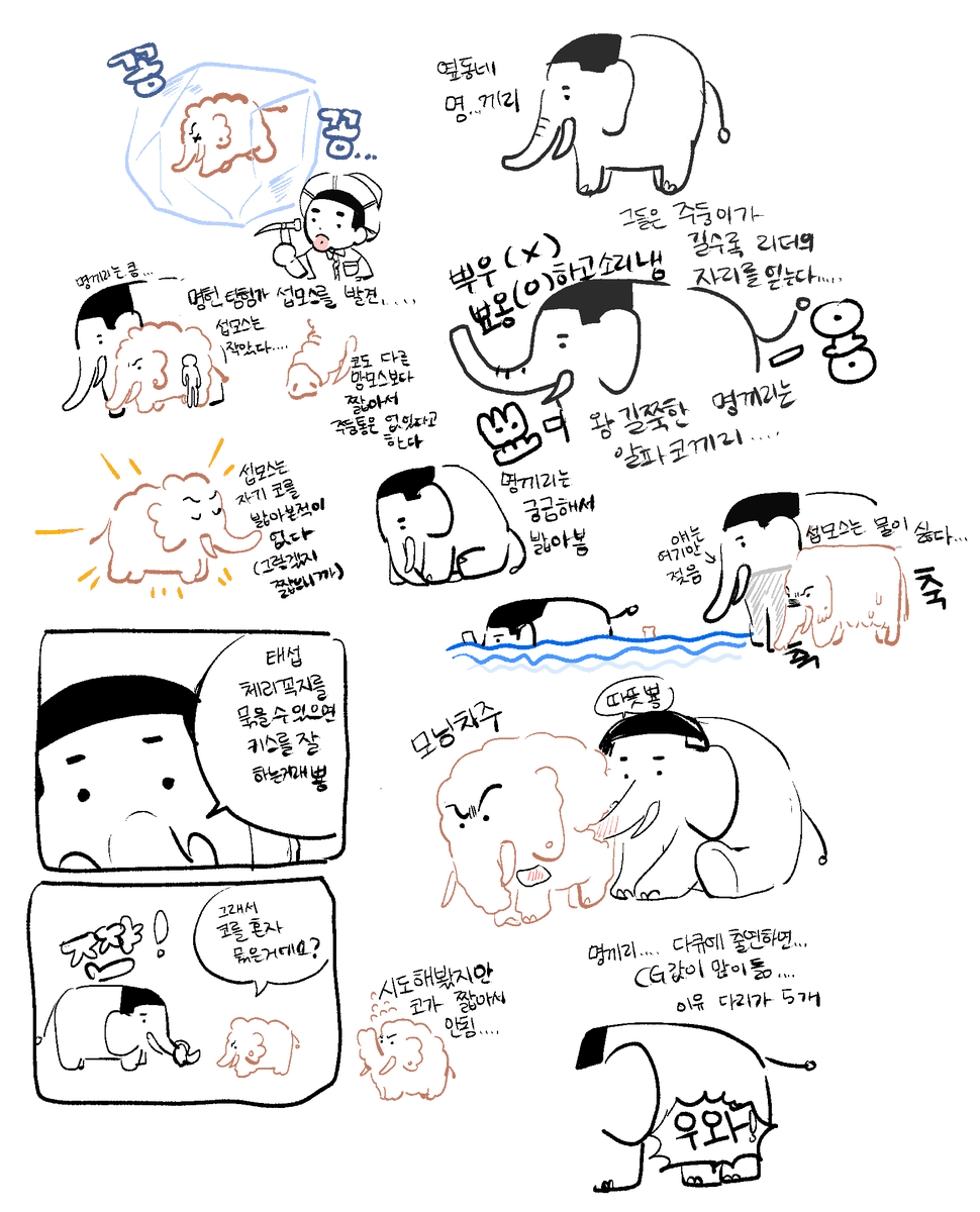 코맘명태 코끼리 맘모스 명헌태섭 이란 뜻 입니다