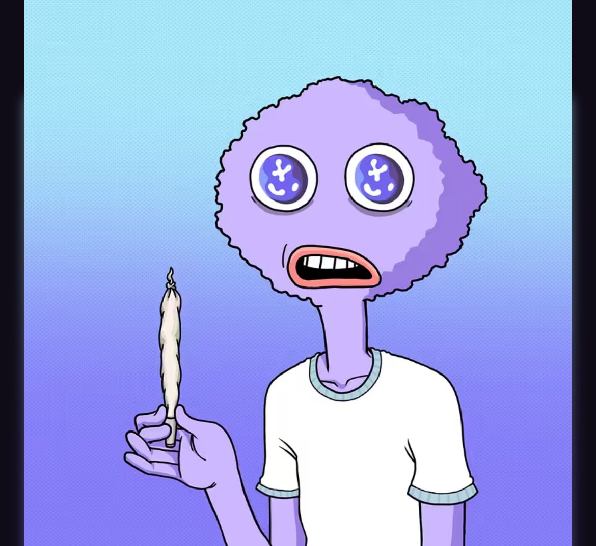 So apparently it’s a “HANDS DOWN MUST GRAB” 😆🔥

GOTTA show love for all the <a href="/CannaSapiensX/">Canna Sapiens</a> that came through
&amp;Picked up my 1st Purple Haze strain.

COMPLETING my set of 3❗️
Now I have ALL strains❗️
Am I doing this right😮‍💨😔💨⁉️