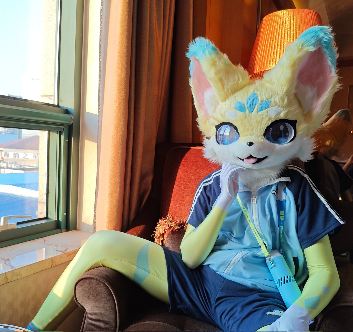 NingRuifurry's tweet photo. 开始发帖了，先来三张试试水 https://t.co/J6670FbMW1