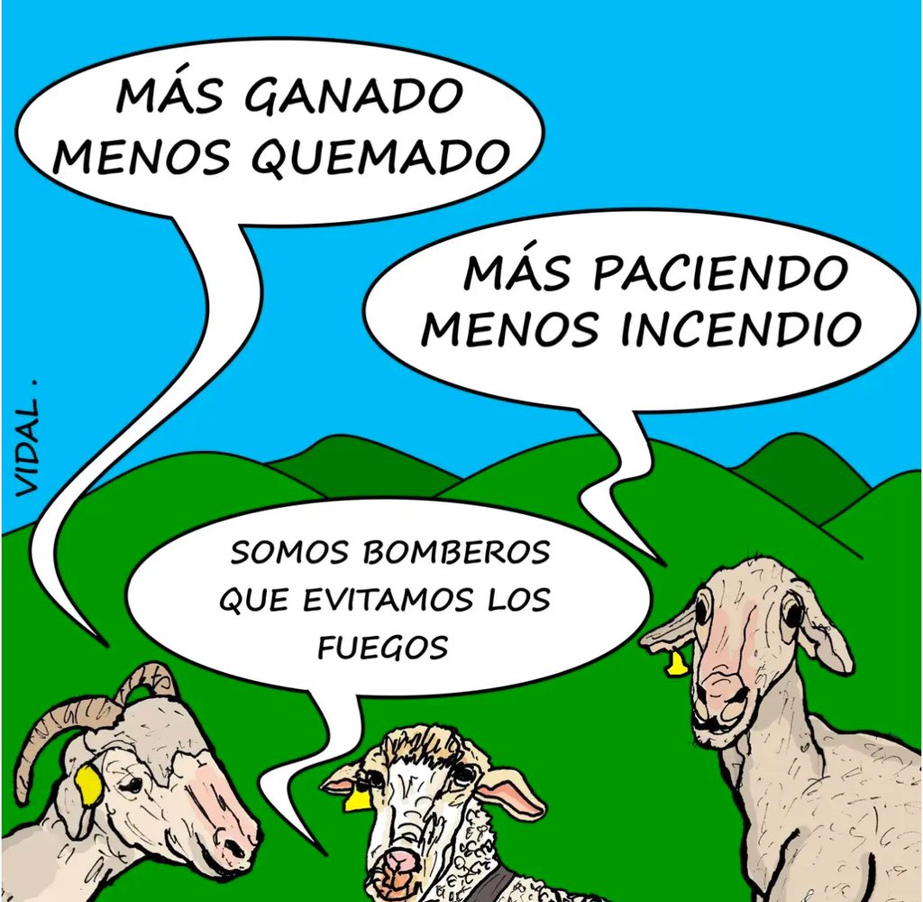 Más claro que el agua