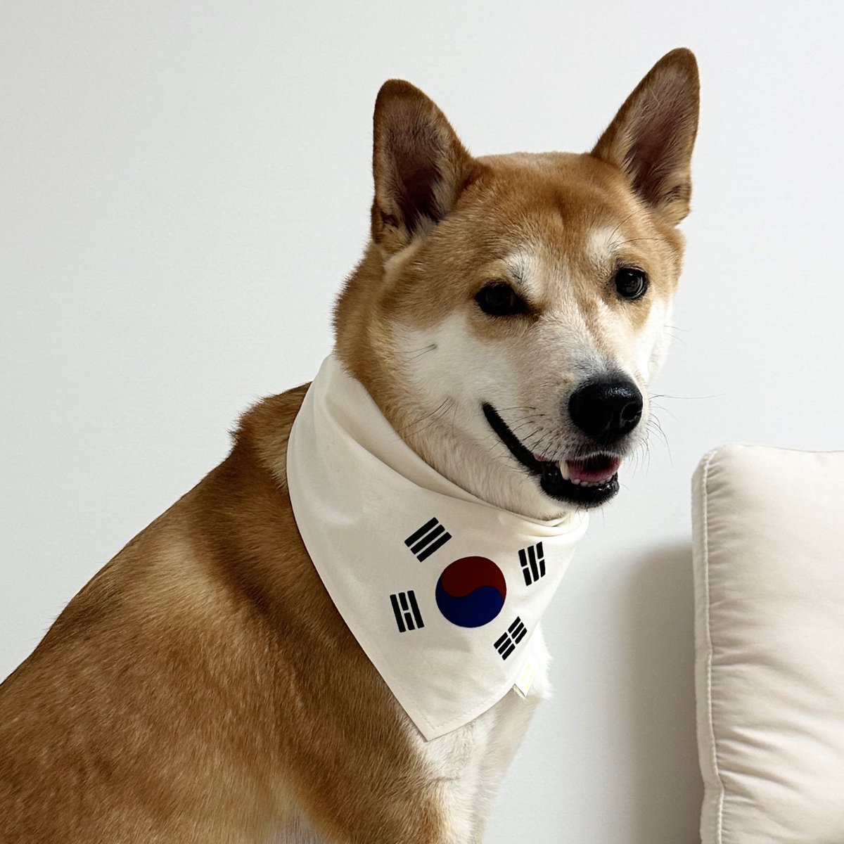 대한독립만세🇰🇷