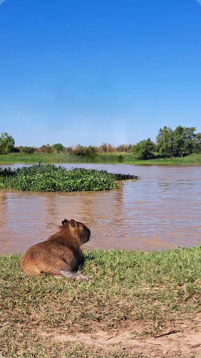 "Mirando a la nada, pensando en todo"