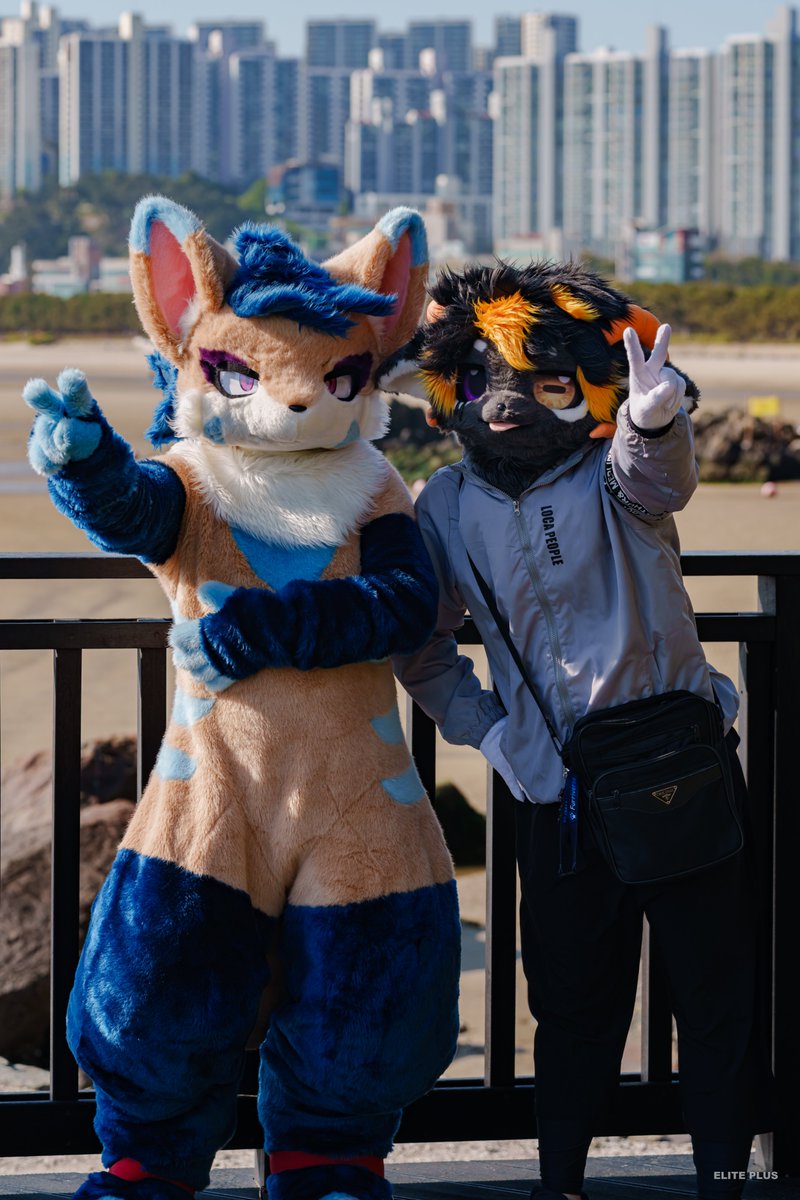 #FursuitFriday #Fursuit

⬅️<a href="/Jwypwem3770/">으악새</a>
➡️<a href="/b1ackcat0107/">검다냥</a>
📸:<a href="/ELPL_Fur/">ELite PLUS📷 🔜 Fur:raid</a>