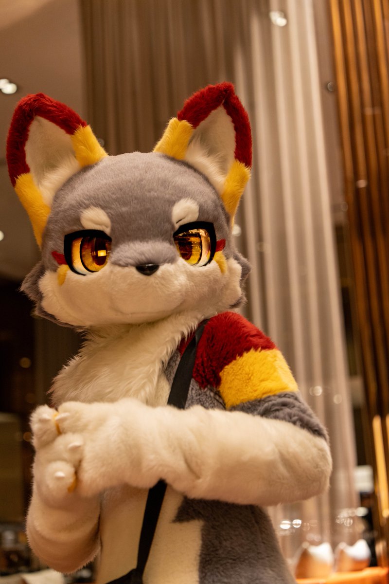 （おとなしく）

📷：林亞

#FursuitFriday