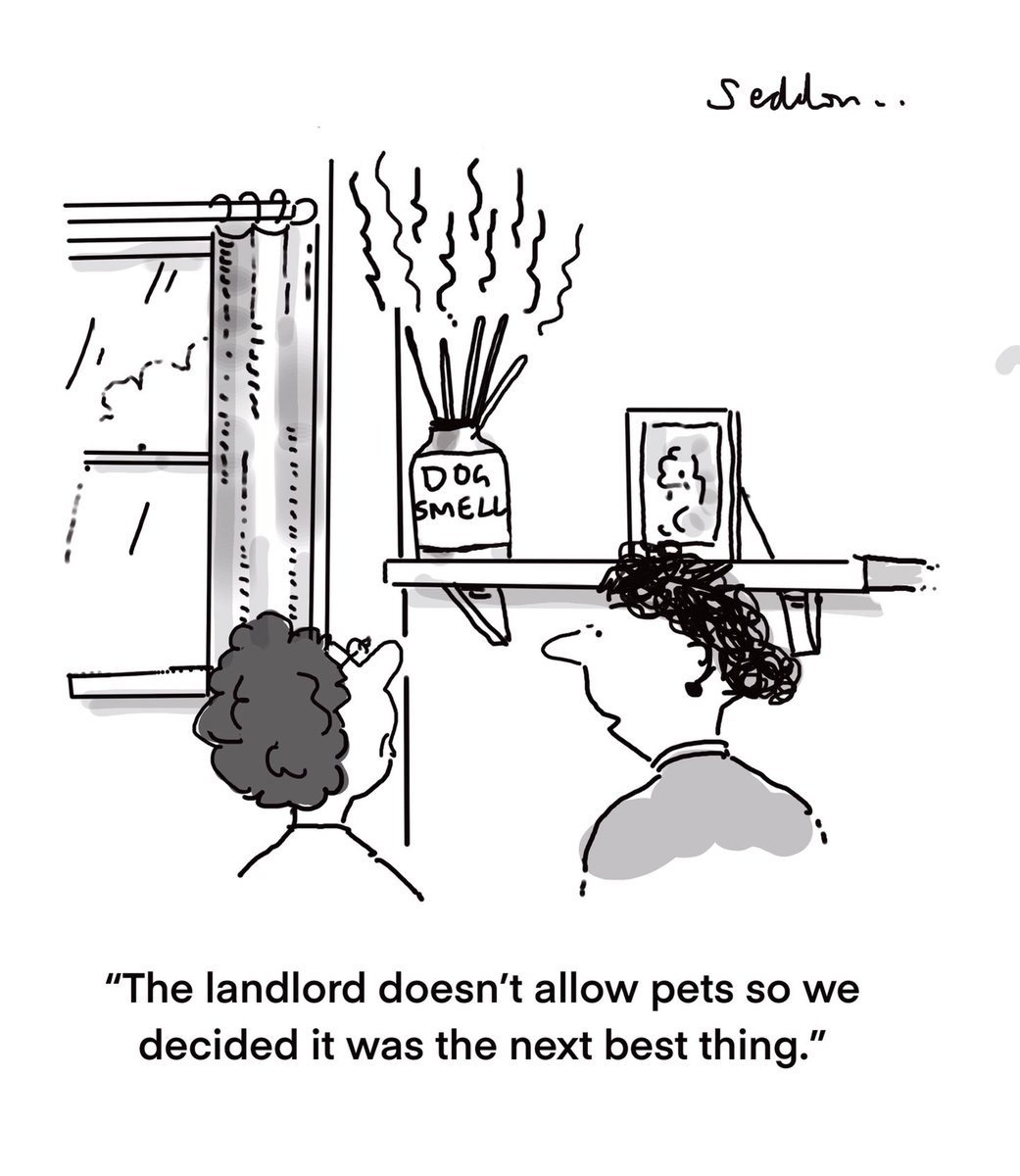 seddoncartoons's tweet image. Finishing touches
#Dog #Diffuser #WednesdayVibe @seddoncartoons