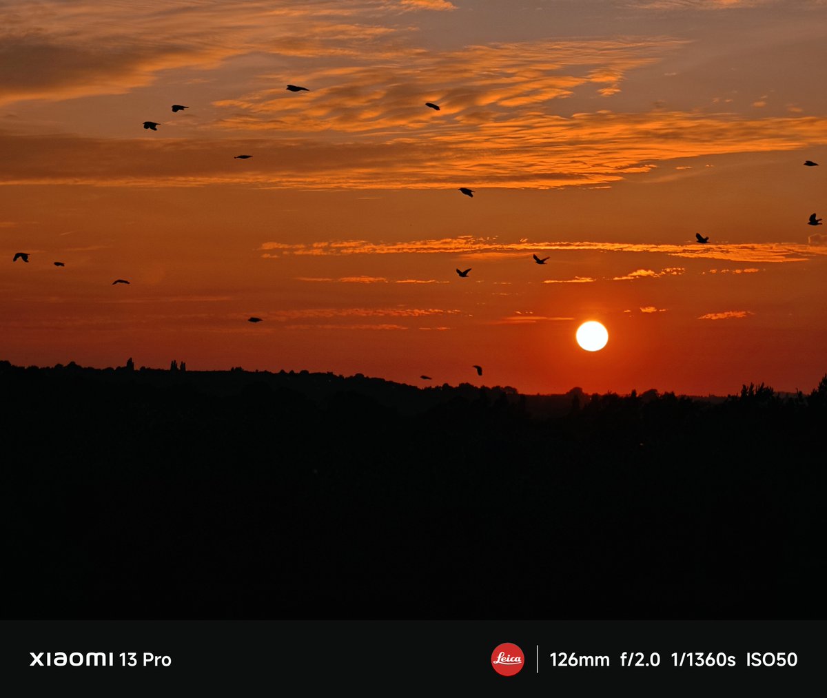 justin_kadafi's tweet image. Sunset
#sunset #sunsetting #sunsetphotography #silhouettes #capturedmoments #leica #summicron #leicaphotography #leicaphoto #everydayxiaomi

instagram.com/kadafione?igsh…