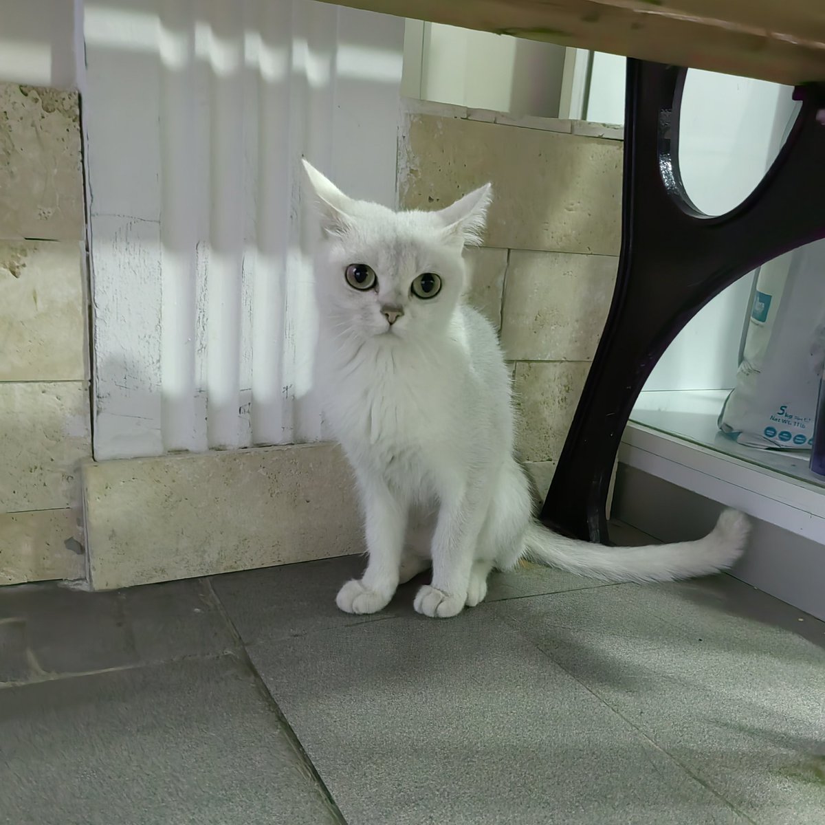 Yuva bulamadığımızı söyleyemedim arkadaşlar... Böyle bakınca diyemedim sana yuva olmak isteyen çıkmadı diye 🙄