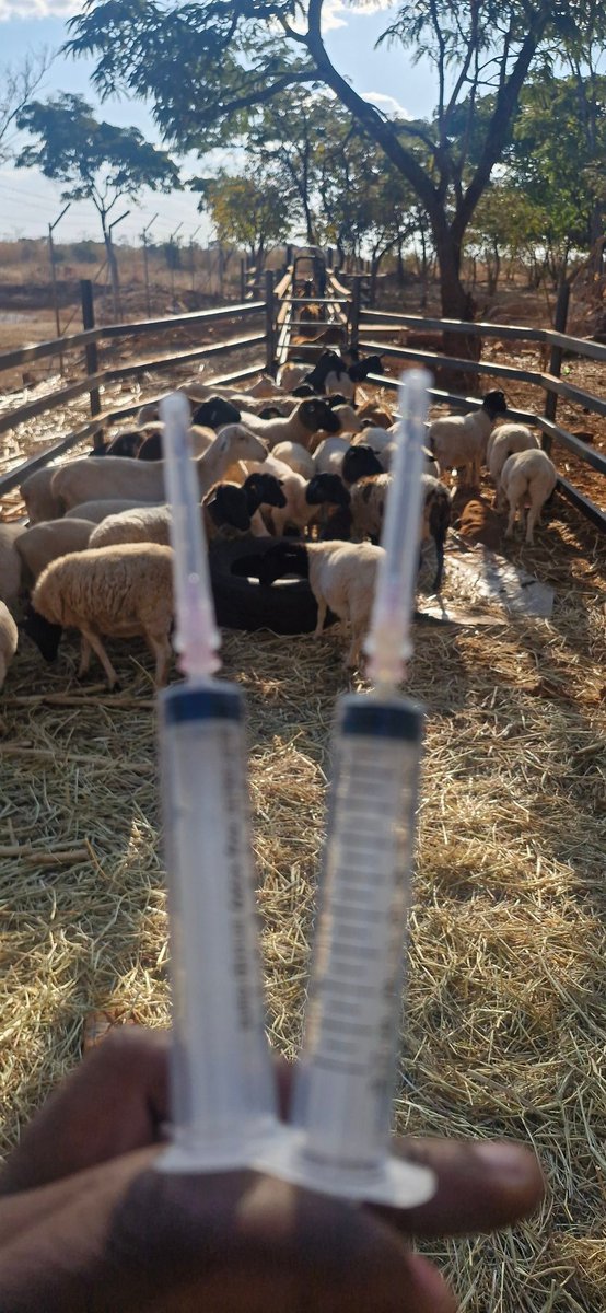 Health Check : Thursday