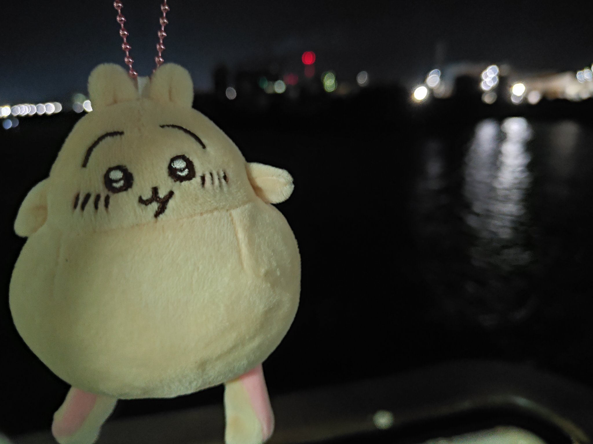 本当にやばいぬいぐるみ Amazon.co.jp: Briskyjp NOMMI可愛さが終わらないシリーズ