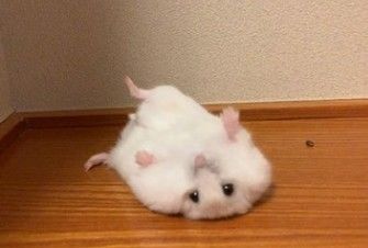 WHY IS SHE SO 😭😭😭⁉️