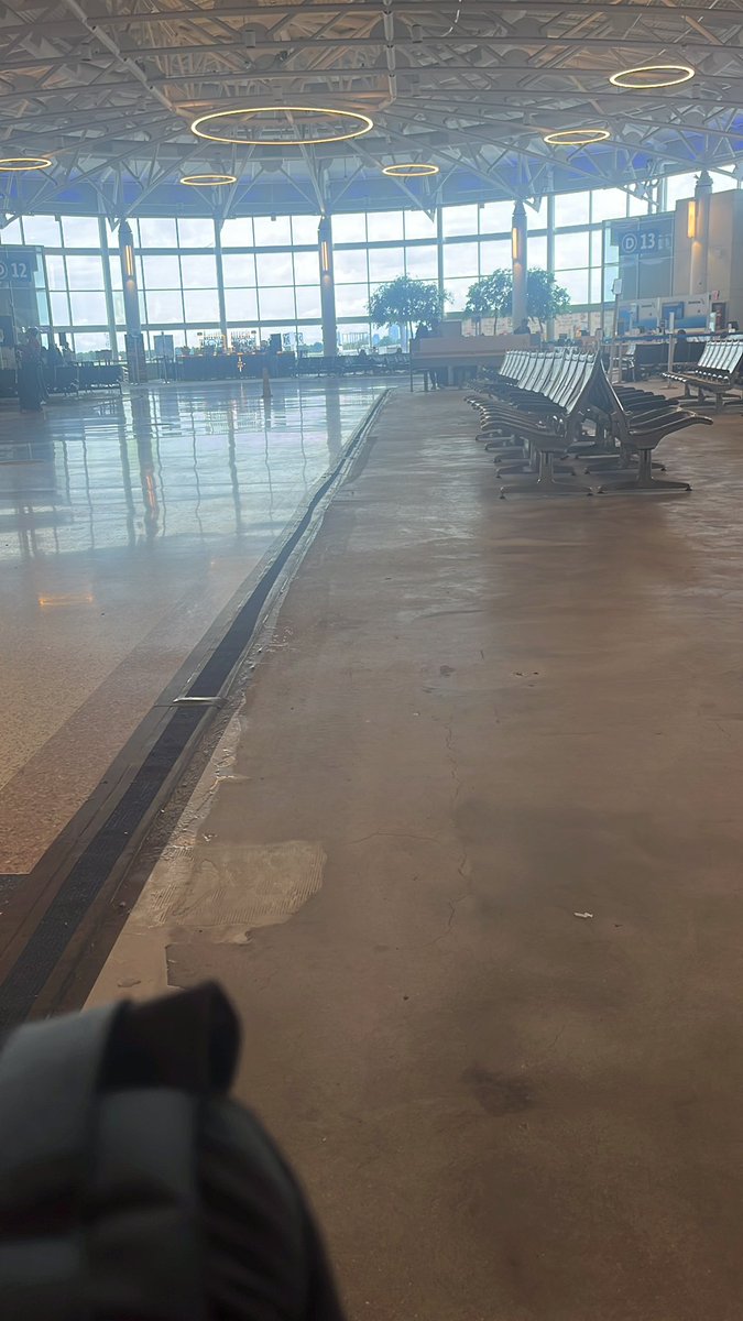 Nick Proto tweet media