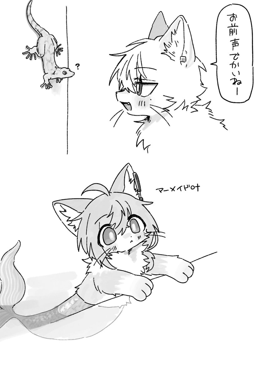 ねこのわーる✈️