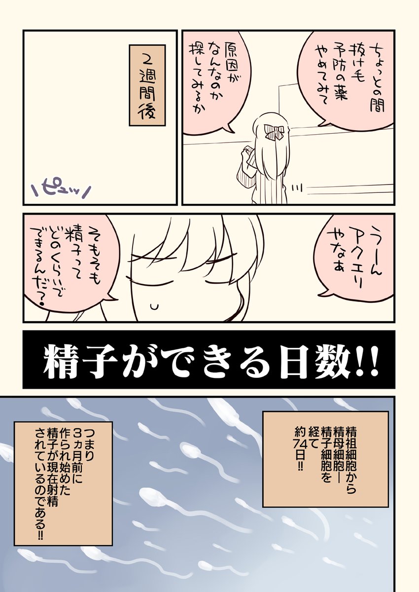 (6/8) 