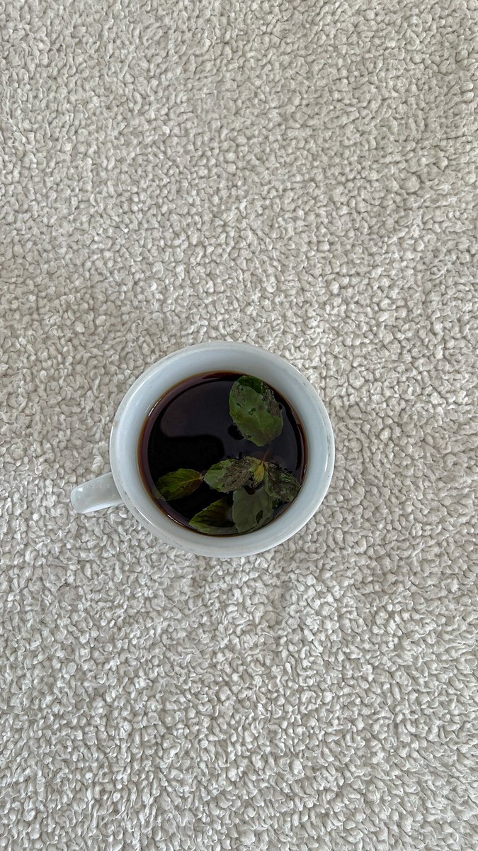ms___199's tweet photo. اوتـفـت
الـيـوم 🌸 https://t.co/6YxzzHNQqv