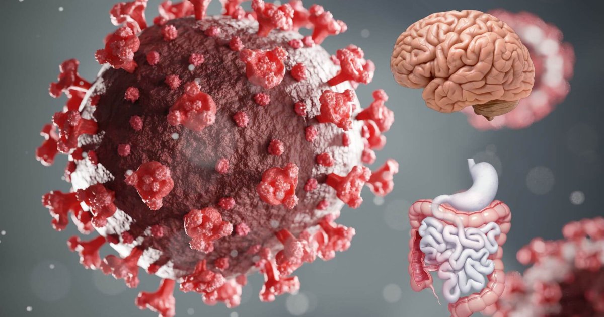 Los trastornos de interacción intestino-cerebro aumentaron tras el COVID-19, sobre todo en casos de COVID prolongado, afectando salud física y mental.