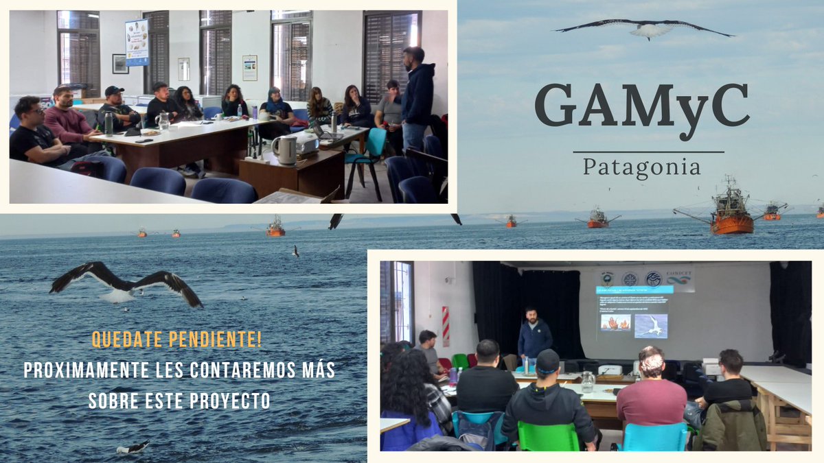 Nuestro colega <a href="/CristianMarinao/">Cristian Marinao</a> junto con investigadores del CIMAS (<a href="/CONICETCenpat/">CCT CONICET-CENPAT</a>) brindaron una jornada de capacitación a observadores pesqueros sobre las interacciones ente aves marinas y #pesquerías, poniendo especial énfasis en la problemática de la captura incidental.