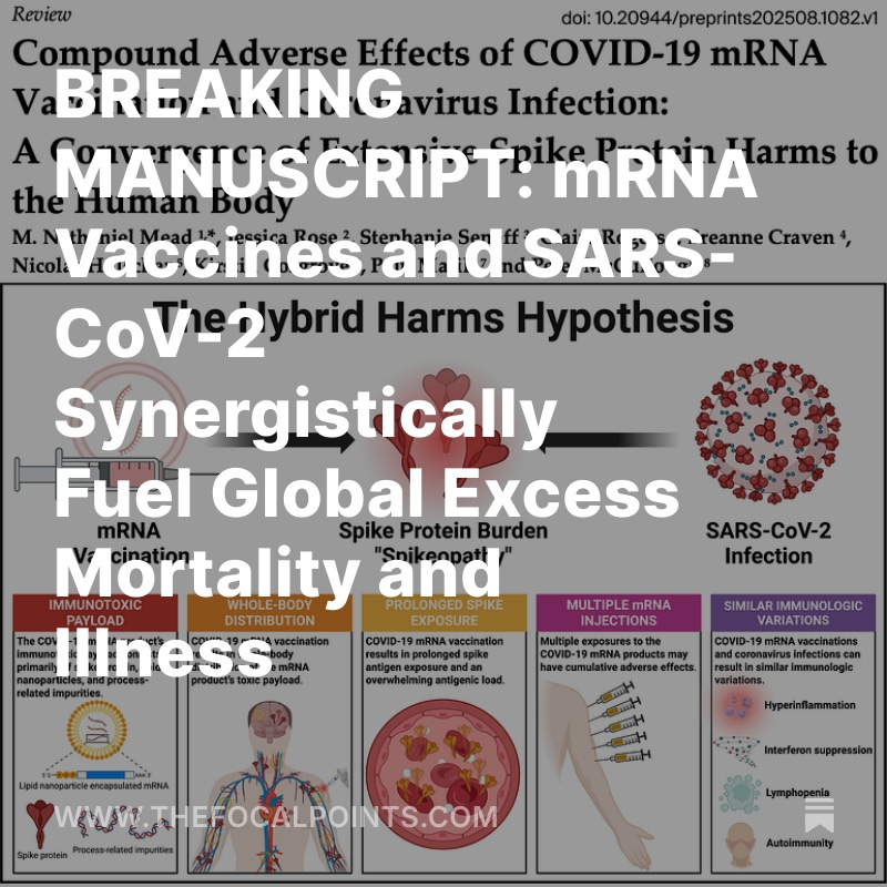P_McCulloughMD's tweet photo. BREAKING MANUSCRIPT: mRNA Vaccines and SARS-CoV-2 Synergistically Fuel Global Excess Mortality and Illness

Landmark 380-reference analysis unveils the “Hybrid Harms Hypothesis” — showing how mRNA shots may prime the body for years of amplified harm from subsequent COVID-19 infections.  Because COVID-19 vaccines failed and people became infected with SARS-CoV-2 anyway, there was a double-whammy of Spike protein damage to the vaccinated.  @McCulloughFund @NathanMeadPhD @CPriceRogers @KirstinCosgrove @BreCraven_PA @simon_troupe @NicHulscher @johnsearsleake https://t.co/KLhF3nfwti