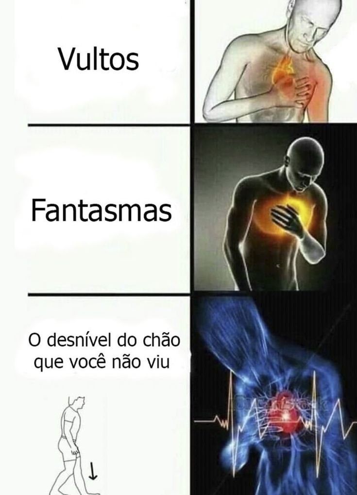 perfil dedicado a gatinhos e peitos (@odeiootaco) on Twitter photo 