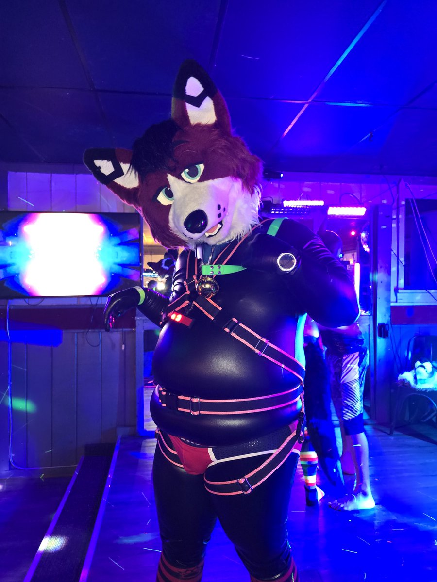 kittyfoxinsocks's tweet photo. I have to say, last weekend was particularly enjoyable~ 🖤❤️🤍
📸: @ChompedDoggy
#Prance https://t.co/DoGQ346Y31
