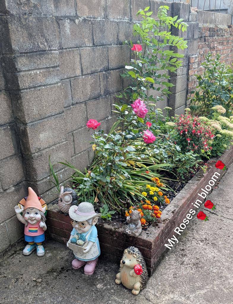 Giovanelli Paul (@paulgiovanelli) on Twitter photo 