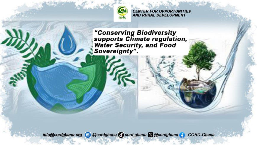 cordghana's tweet image. Biodiversity conservation is essential for maintaining ecosystem health and resilience, providing critical services for human well-being. Conserving biodiversity ensures ecosystem resilience, human well being, and sustainable development. Key conservation strategies include but…