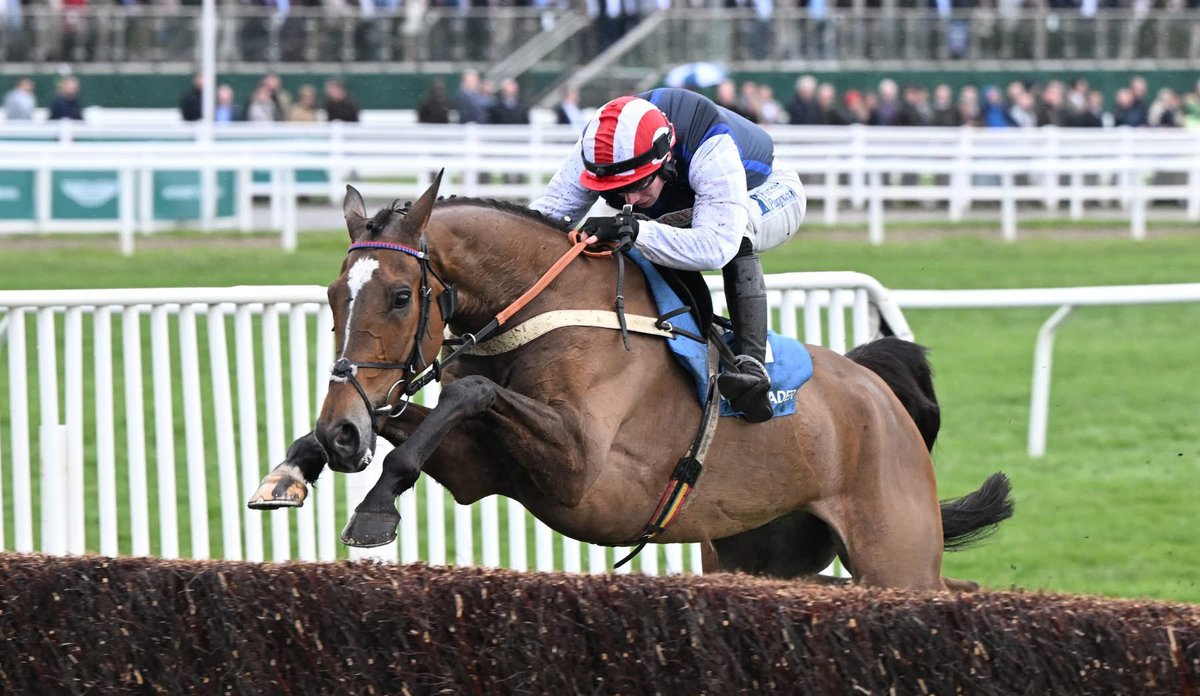 Ben Pauling Racing (@benpauling1) on Twitter photo As we look forward to another exciting season here at Ben Pauling Racing, we pause to celebrate the incredible career of a true yard favourite β ππ‘ππ€ππ¦ ππ©βππ«π«π² β who now begins a well-earned retirement.
Full article in our latest newsletter:
mailchi.mp/benpaulingraciβ¦ As we look forward to another exciting season here at Ben Pauling Racing, we pause to celebrate the incredible career of a true yard favourite β ππ‘ππ€ππ¦ ππ©βππ«π«π² β who now begins a well-earned retirement.
Full article in our latest newsletter:
mailchi.mp/benpaulingraciβ¦