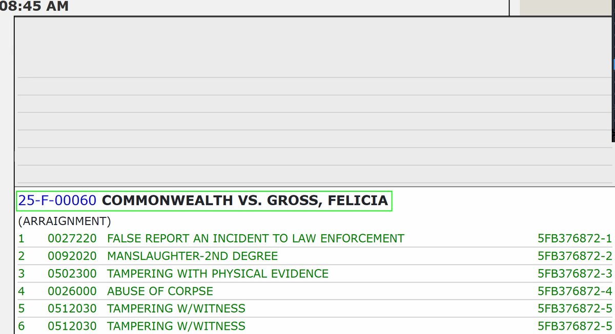 MattBlacInc's tweet photo. 25-F-00060COMMONWEALTH VS. #FELICIAGROSS

#Arraignment 

1 | FALSE REPORT AN INCIDENT TO LAW ENFORCEMENT
2 | MANSLAUGHTER-2ND DEGREE
3 | TAMPERING WITH PHYSICAL EVIDENCE
4 | ABUSE OF CORPSE
5 | TAMPERING W/WITNESS
6 | TAMPERING W/WITNESS https://t.co/jYuE53RY0B
