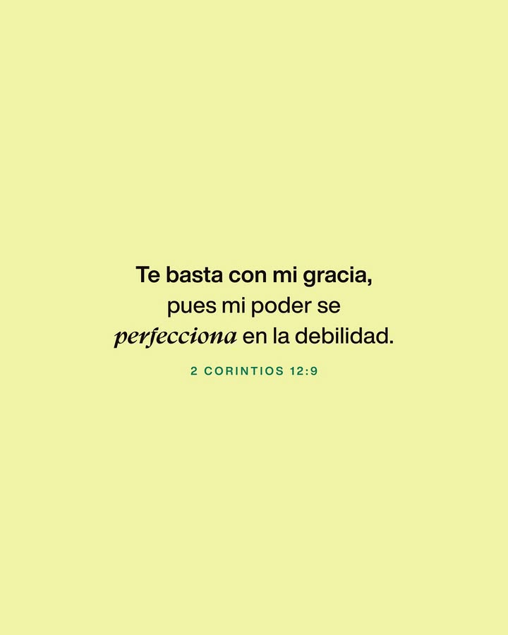 📖✝️ tweet media