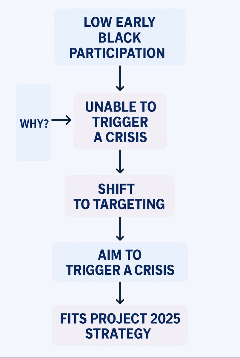 While thinking on my thinking, it seems we wisely didn’t protest in large numbers since January 2025; so, the needed crisis couldn’t be triggered. Bad optics attacking whites, etc. New strategy, go into neighbourhood’s and do whatever necessary to trigger a crisis?! I say, FOCUS!